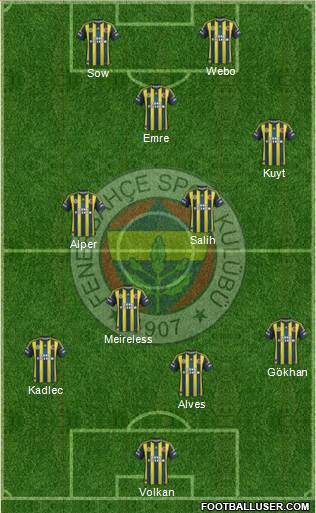 Fenerbahçe SK Formation 2013