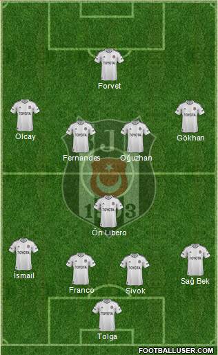Besiktas JK Formation 2013