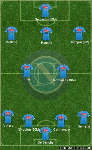 Napoli Formation 2013