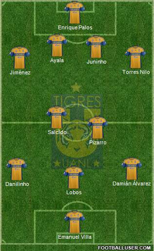 Club Universitario de Nuevo León Formation 2013