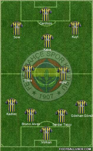 Fenerbahçe SK Formation 2013