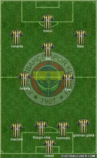Fenerbahçe SK Formation 2013