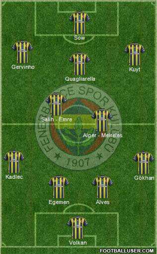 Fenerbahçe SK Formation 2013
