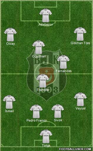 Besiktas JK Formation 2013