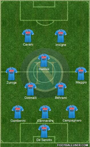 Napoli Formation 2013