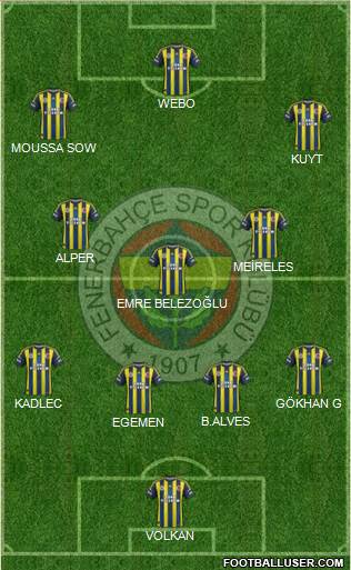 Fenerbahçe SK Formation 2013