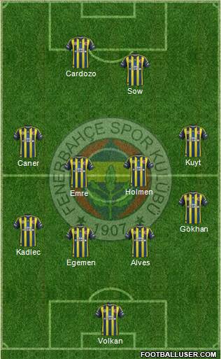 Fenerbahçe SK Formation 2013