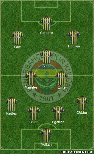 Fenerbahçe SK Formation 2013