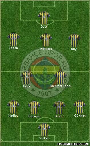 Fenerbahçe SK Formation 2013