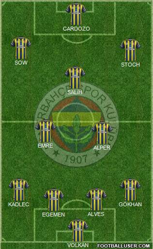 Fenerbahçe SK Formation 2013