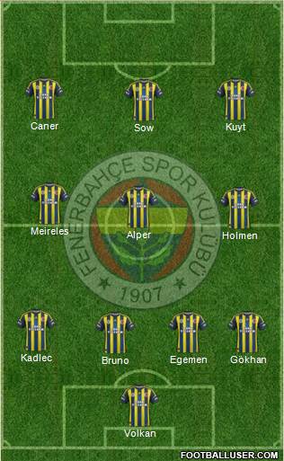 Fenerbahçe SK Formation 2013