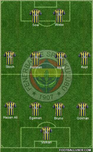 Fenerbahçe SK Formation 2013