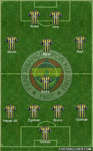 Fenerbahçe SK Formation 2013