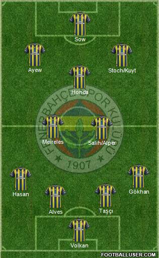 Fenerbahçe SK Formation 2013