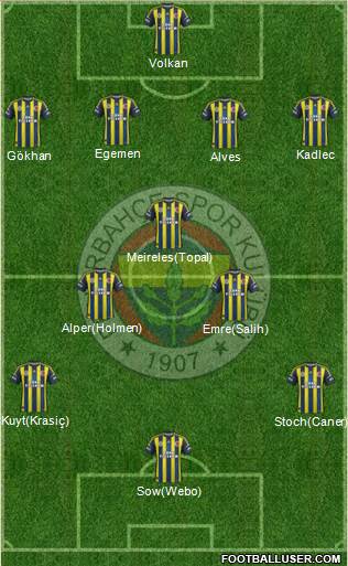 Fenerbahçe SK Formation 2013