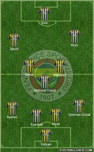 Fenerbahçe SK Formation 2013