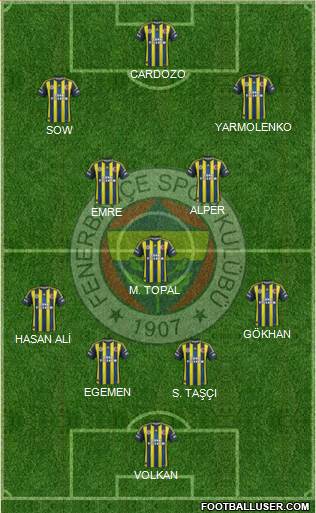 Fenerbahçe SK Formation 2013