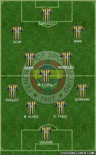 Fenerbahçe SK Formation 2013