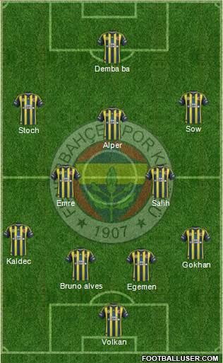 Fenerbahçe SK Formation 2013