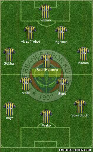 Fenerbahçe SK Formation 2013