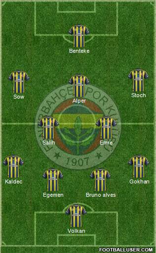 Fenerbahçe SK Formation 2013