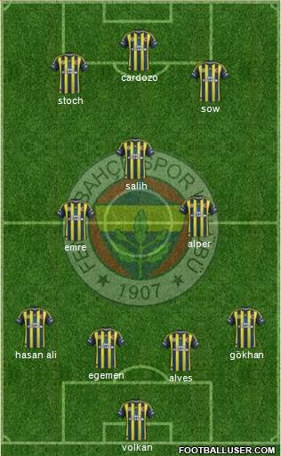 Fenerbahçe SK Formation 2013