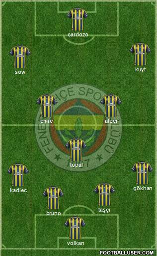 Fenerbahçe SK Formation 2013