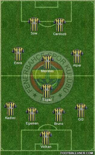Fenerbahçe SK Formation 2013