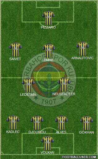 Fenerbahçe SK Formation 2013