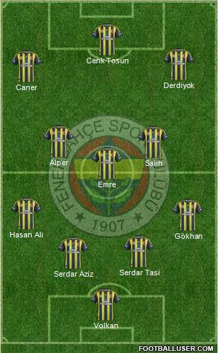 Fenerbahçe SK Formation 2013