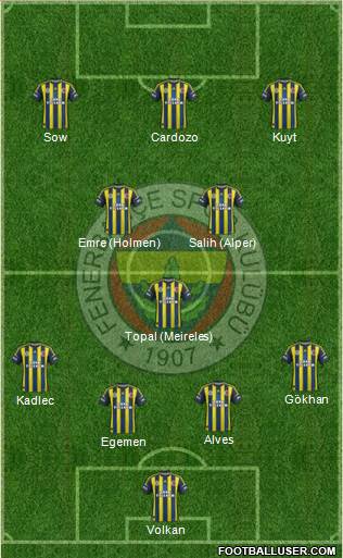 Fenerbahçe SK Formation 2013