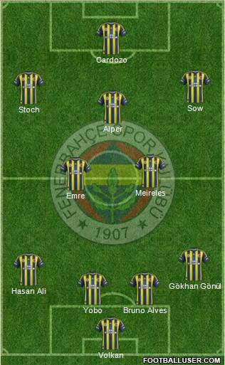 Fenerbahçe SK Formation 2013