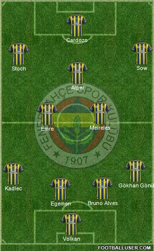 Fenerbahçe SK Formation 2013
