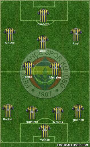 Fenerbahçe SK Formation 2013