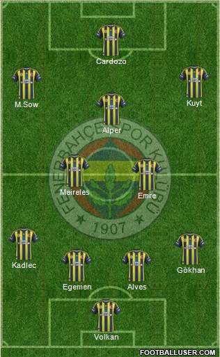 Fenerbahçe SK Formation 2013