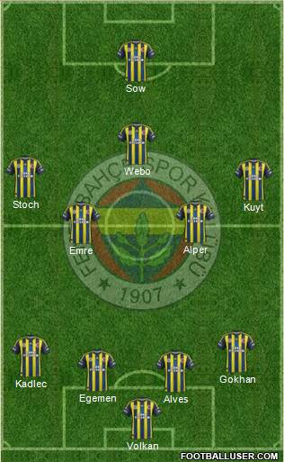 Fenerbahçe SK Formation 2013