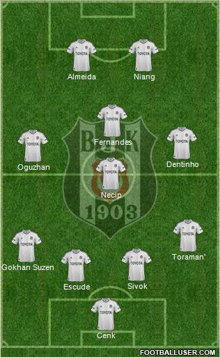 Besiktas JK Formation 2013