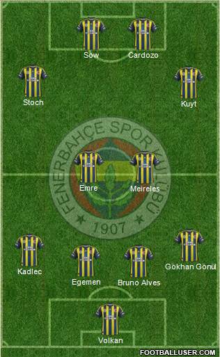 Fenerbahçe SK Formation 2013