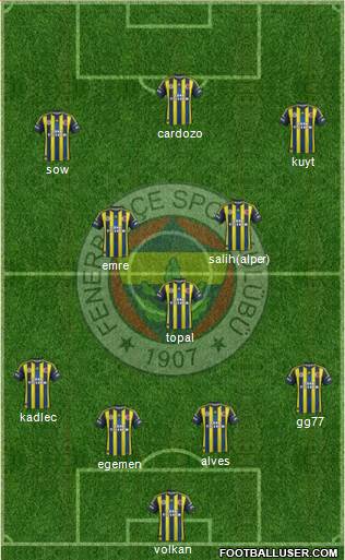 Fenerbahçe SK Formation 2013