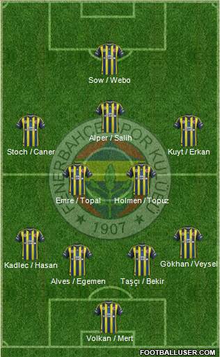 Fenerbahçe SK Formation 2013