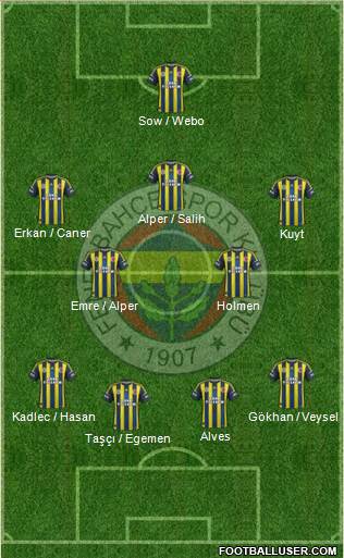 Fenerbahçe SK Formation 2013