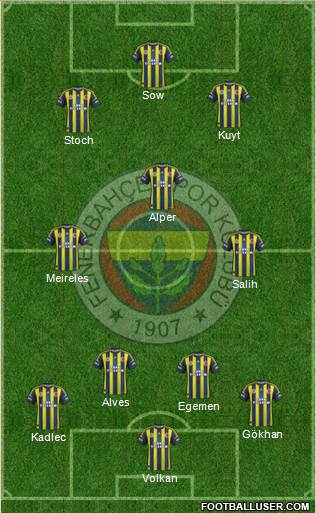 Fenerbahçe SK Formation 2013
