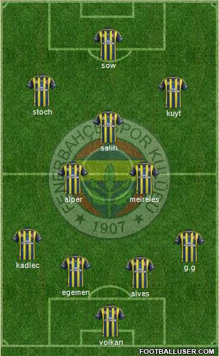 Fenerbahçe SK Formation 2013