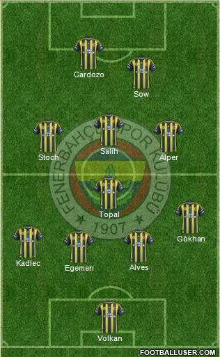 Fenerbahçe SK Formation 2013
