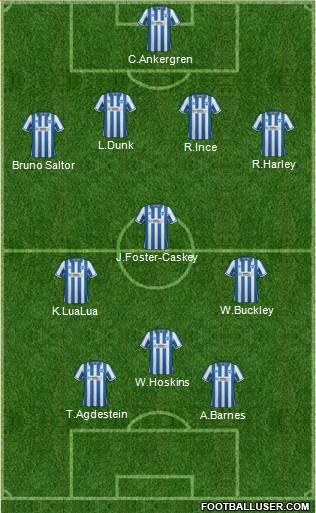Brighton and Hove Albion Formation 2013