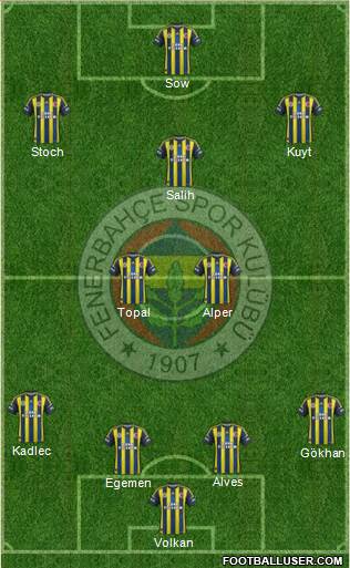 Fenerbahçe SK Formation 2013