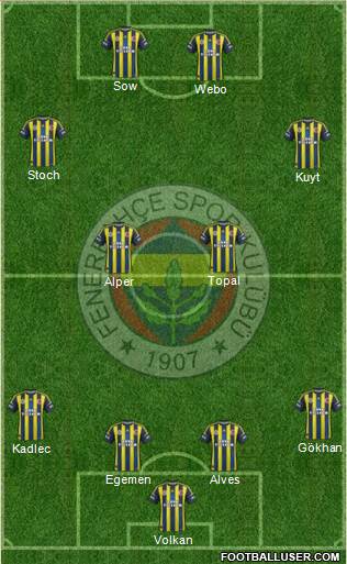 Fenerbahçe SK Formation 2013