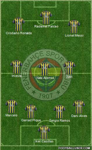 Fenerbahçe SK Formation 2013