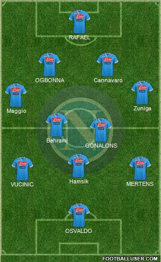 Napoli Formation 2013