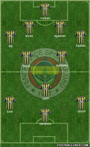 Fenerbahçe SK Formation 2013